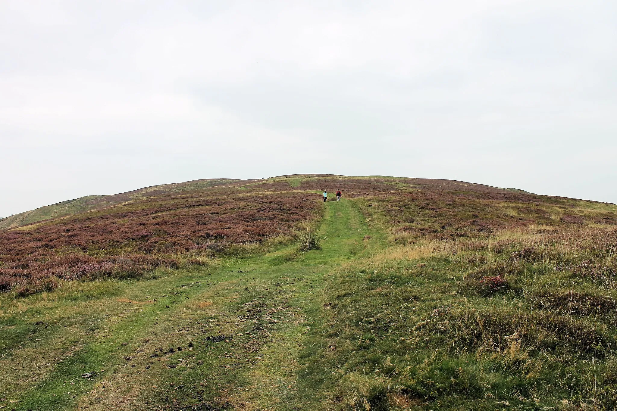 Photo showing: Walking towards the north - into the middle of the Penycloddiau Hillfort, Clwydian Hills, North Wales. One of the largest hillforts in Wales, Penycloddiau is 21 hectares in area with its surrounding defending ditches nearly 2 km in length.