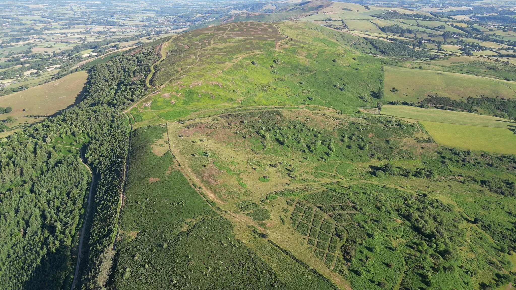 Photo showing: Penycloddiau from above the direction of Moel Arthur; June 2023. The Clwydian Range and Dee Valley is a designated Area of Outstanding Natural Beauty and proposed national park, located in north-east Wales, covering the Clwydian Range, and the valley of the River Dee.