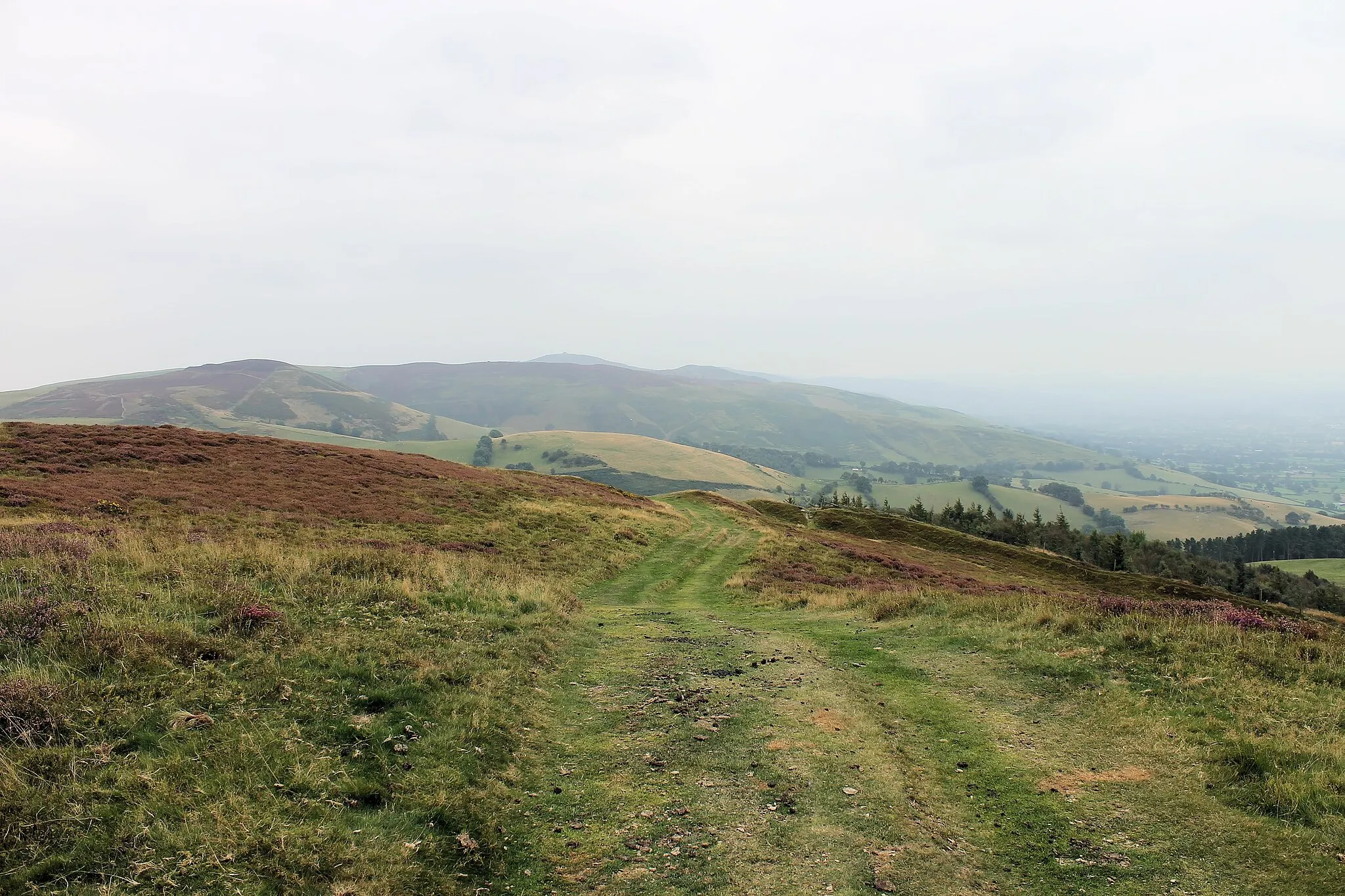 Photo showing: Middle of Penycloddiau Hill Fort, Clwydian Hills, North Wales. One of the largest hillforts in Wales, Penycloddiau is 21 hectares in area with its surrounding defneding ditches nearly 2 km in length.