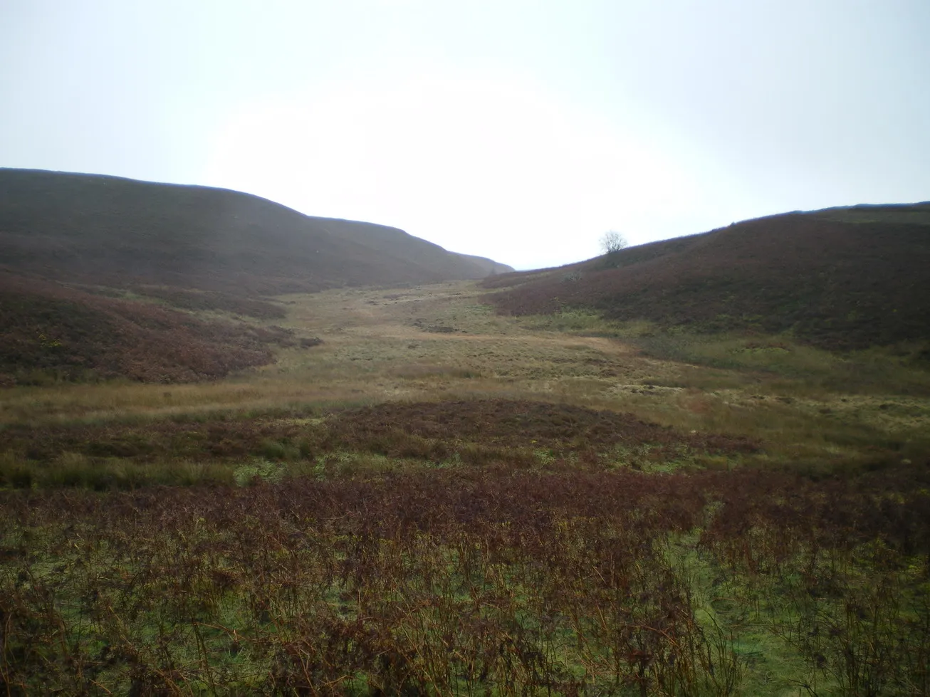 Photo showing: A misty view of the Nant y Cwm Mawr