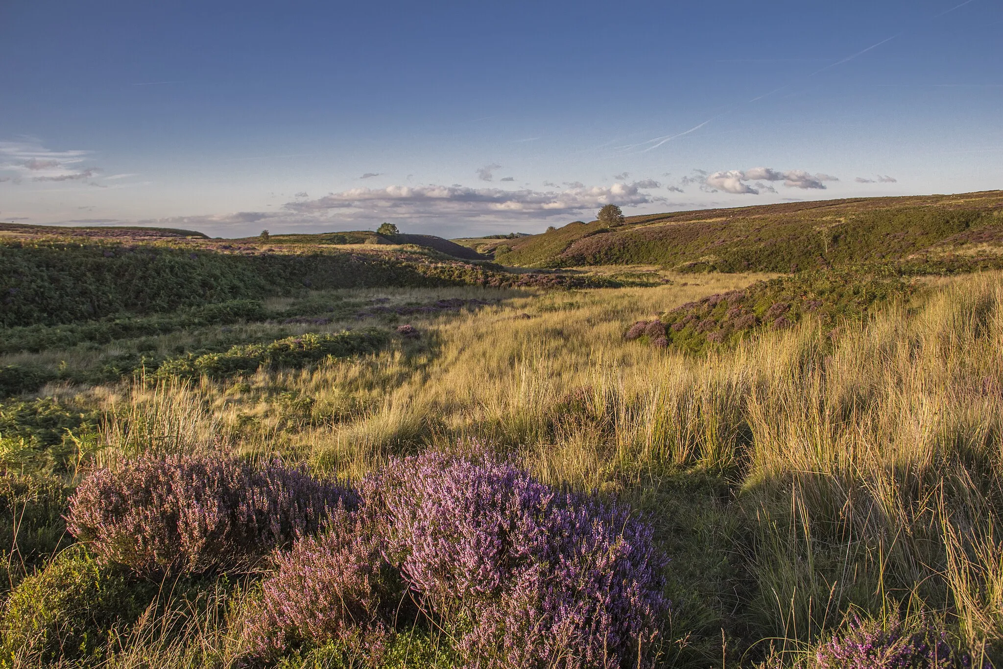 Photo showing: Aber Sychnant