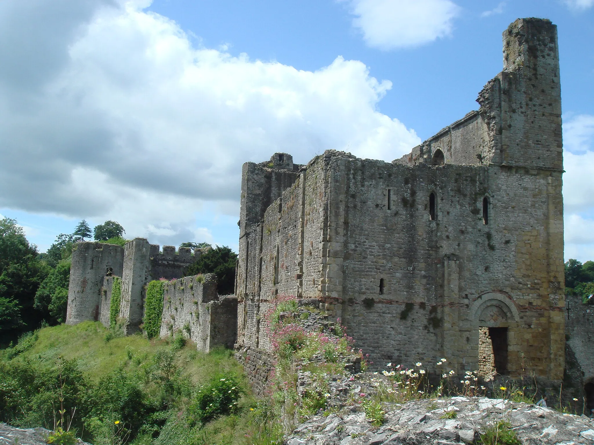 Photo showing: Chepstow Castle