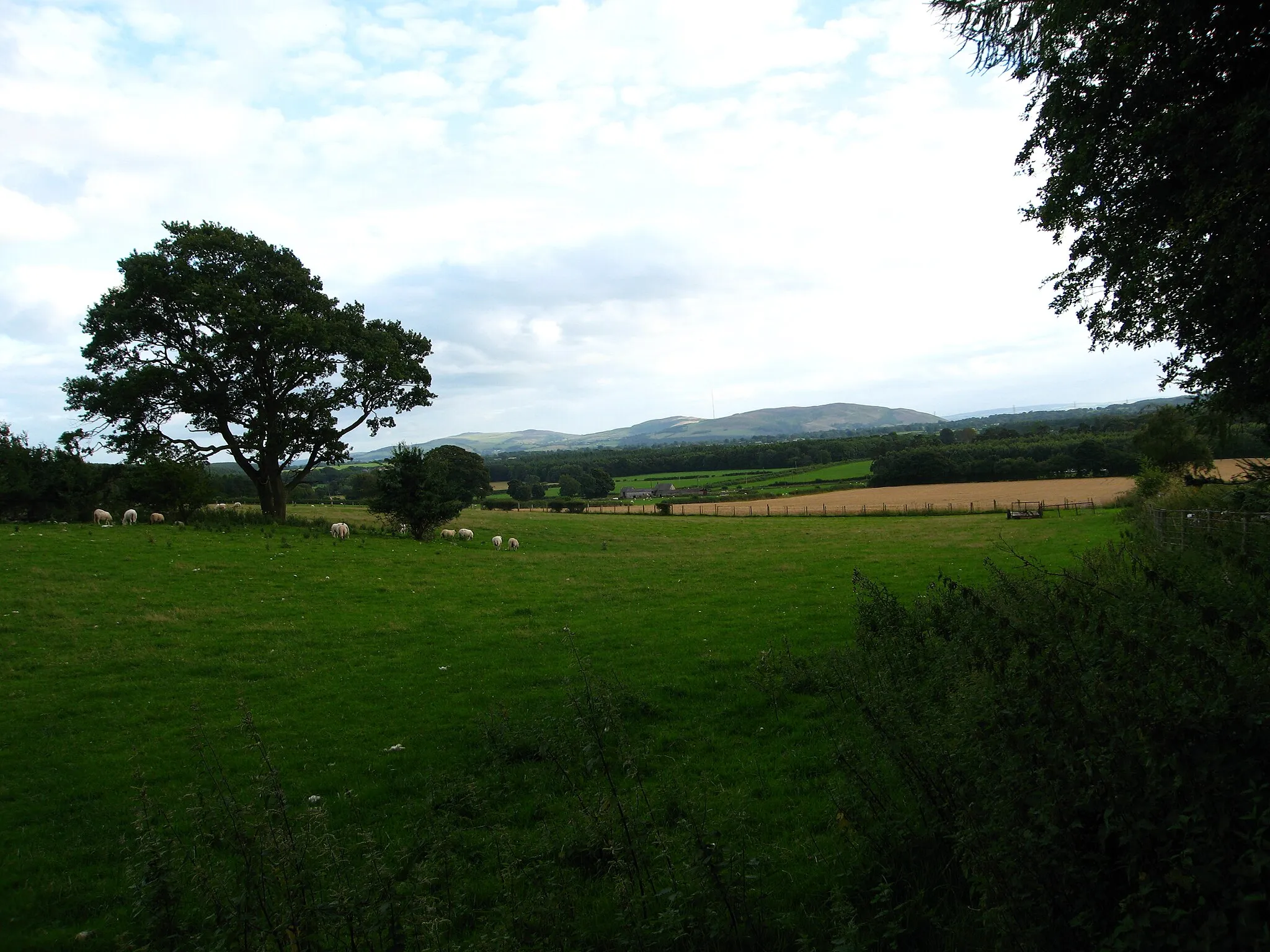 Photo showing: Farmland surrounding Tan-yr-allt