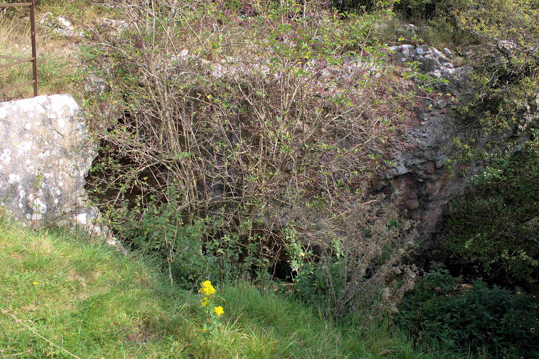 Photo showing: Cae Du Cave, which is situated around 6 meters to the west of Ogof Beuno. Animal bones from the Upper Paleolithic period were found here.
Grid Reference
SJ085085 (308544, 372430)
WGS84 Coordinates
53.2407, -3.37057
Nearest Postcode

LL17 0UR