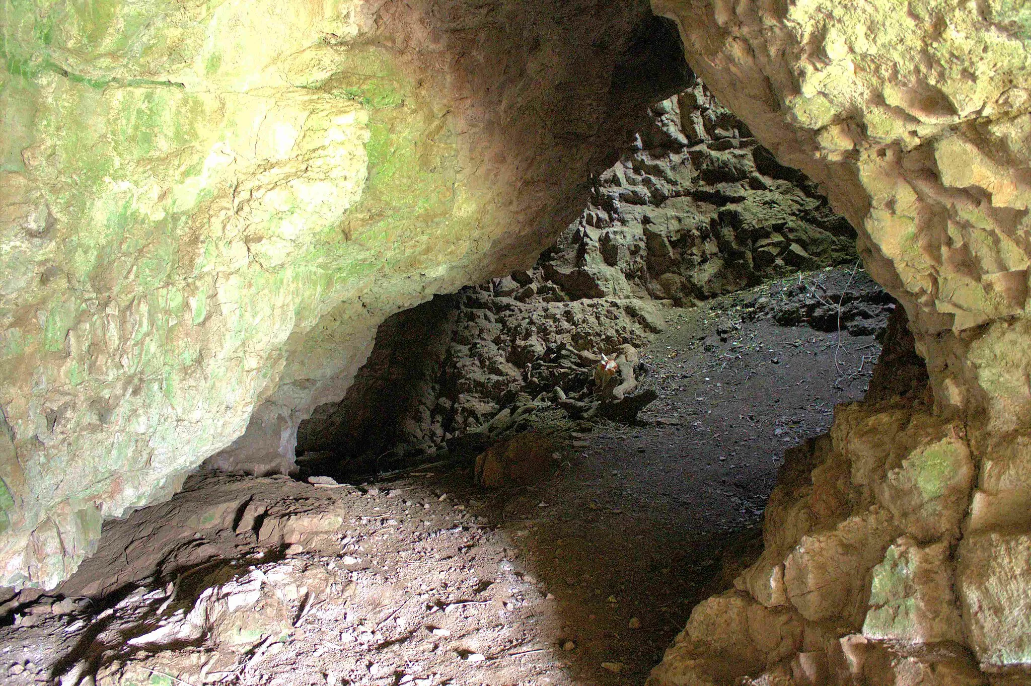 Photo showing: Ffynnon Beuno Cave, Denbighshire, Wales.
SJ085085 (308544, 372430)
LL17 0UR

Cadw