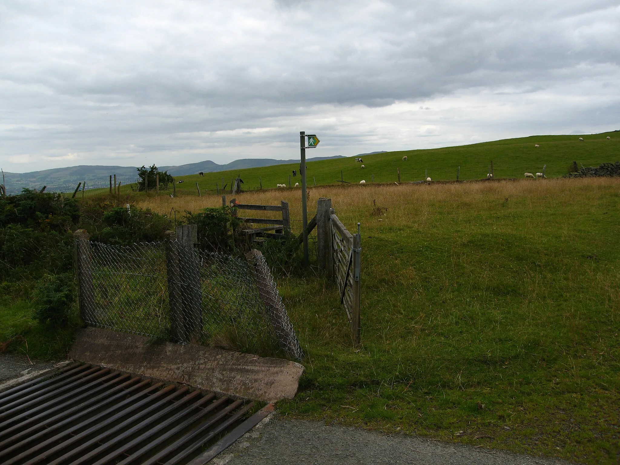 Photo showing: Cattle grid, stile and footpath sign