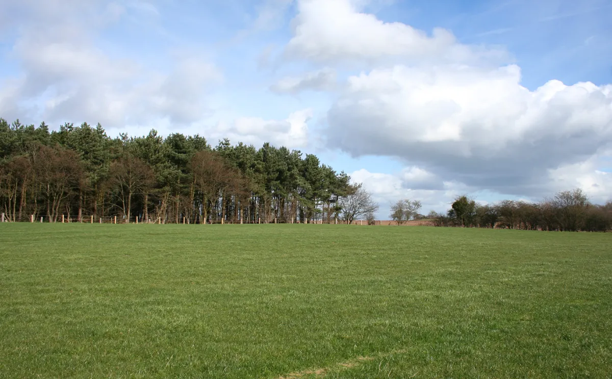 Photo showing: Pasture by Peckforton Moss, near Peckforton, Cheshire