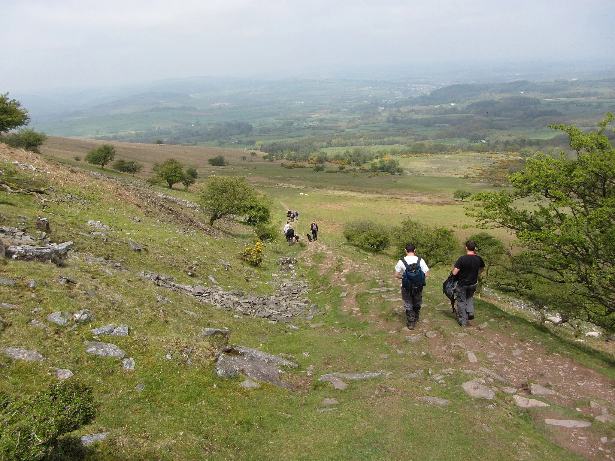 Photo showing: Path down Twyn Cil-rhew