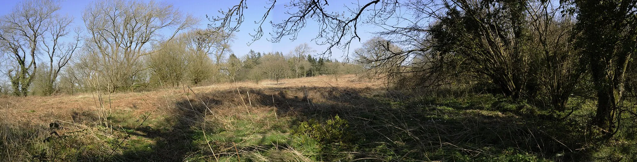 Photo showing: 'Castell Coch' Hill Fort