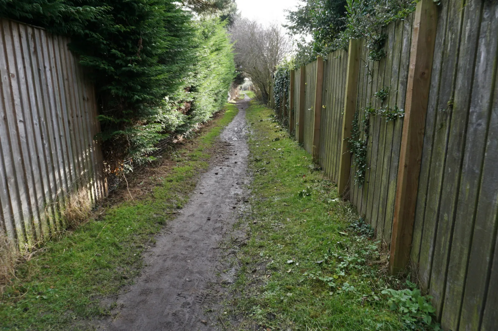 Photo showing: Headland Lane, Haxby