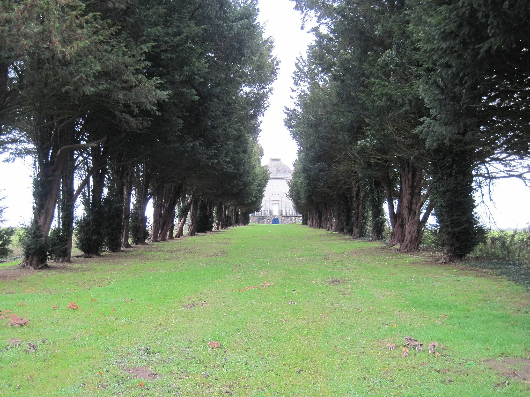 Photo showing: Avenue  of  Trees