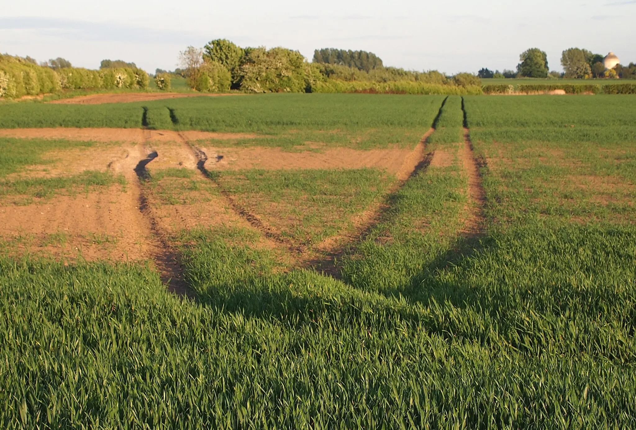 Photo showing: 'V' Field