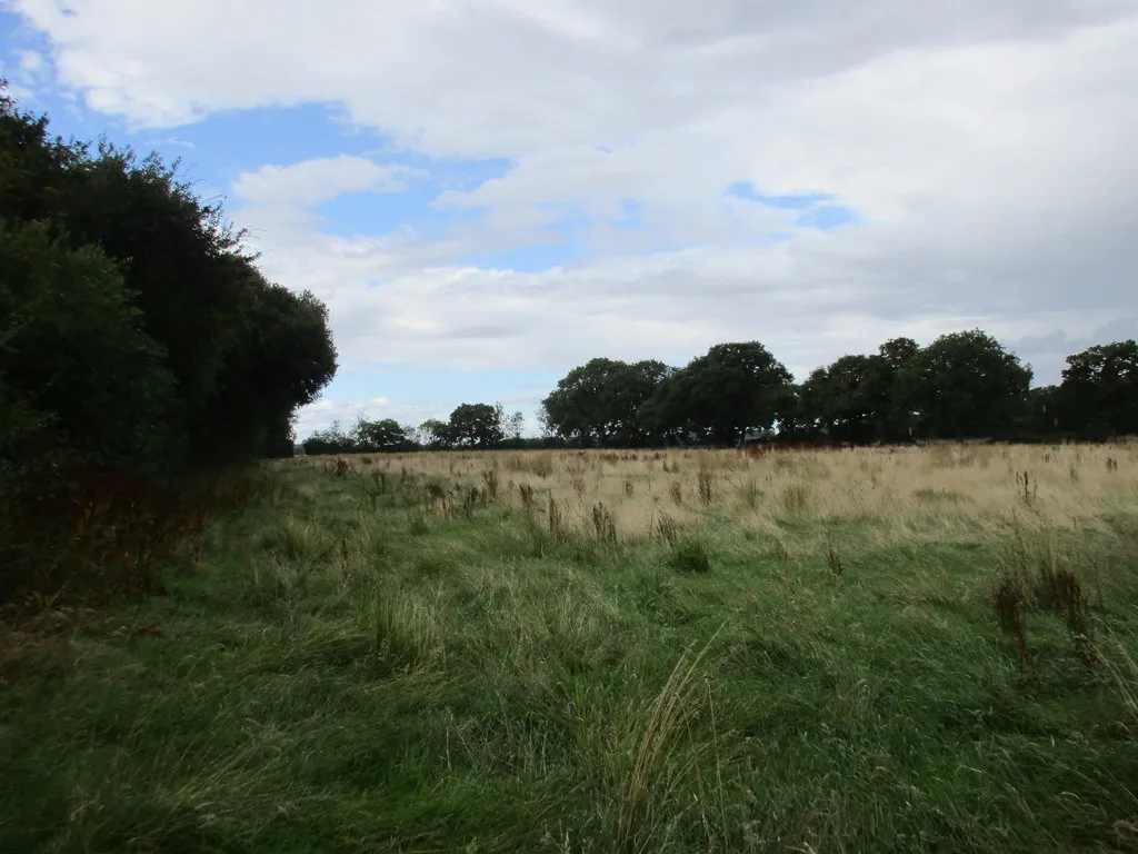 Photo showing: Abandoned field next to Fox Covert