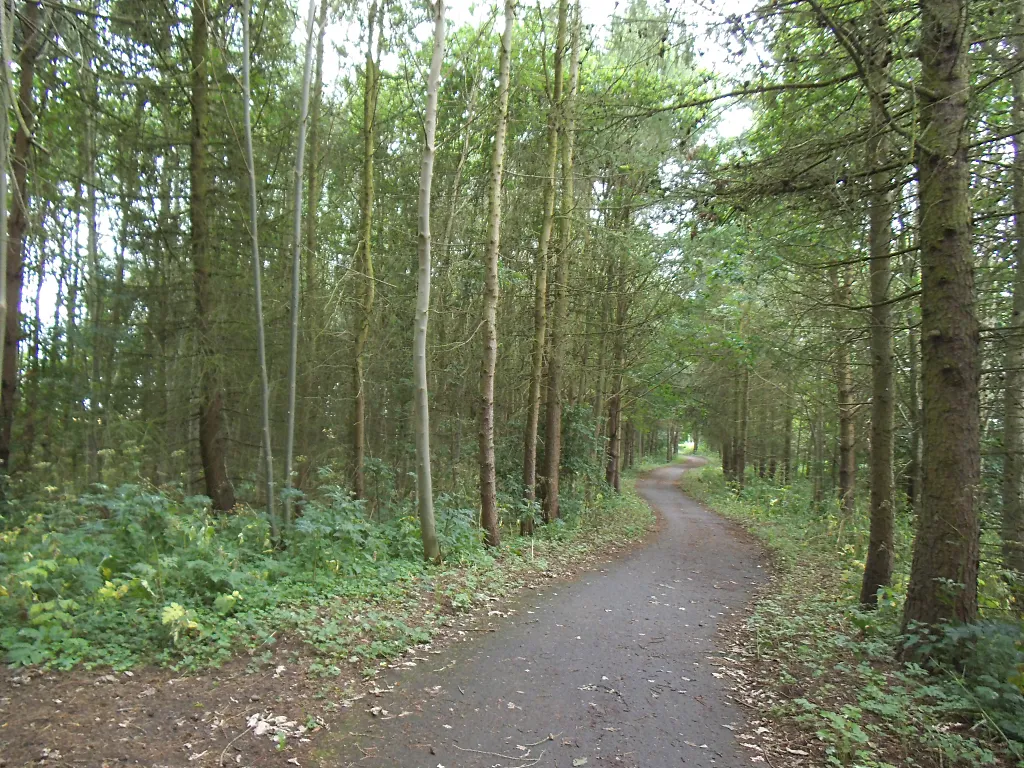 Photo showing: Cycle route alongside the A166