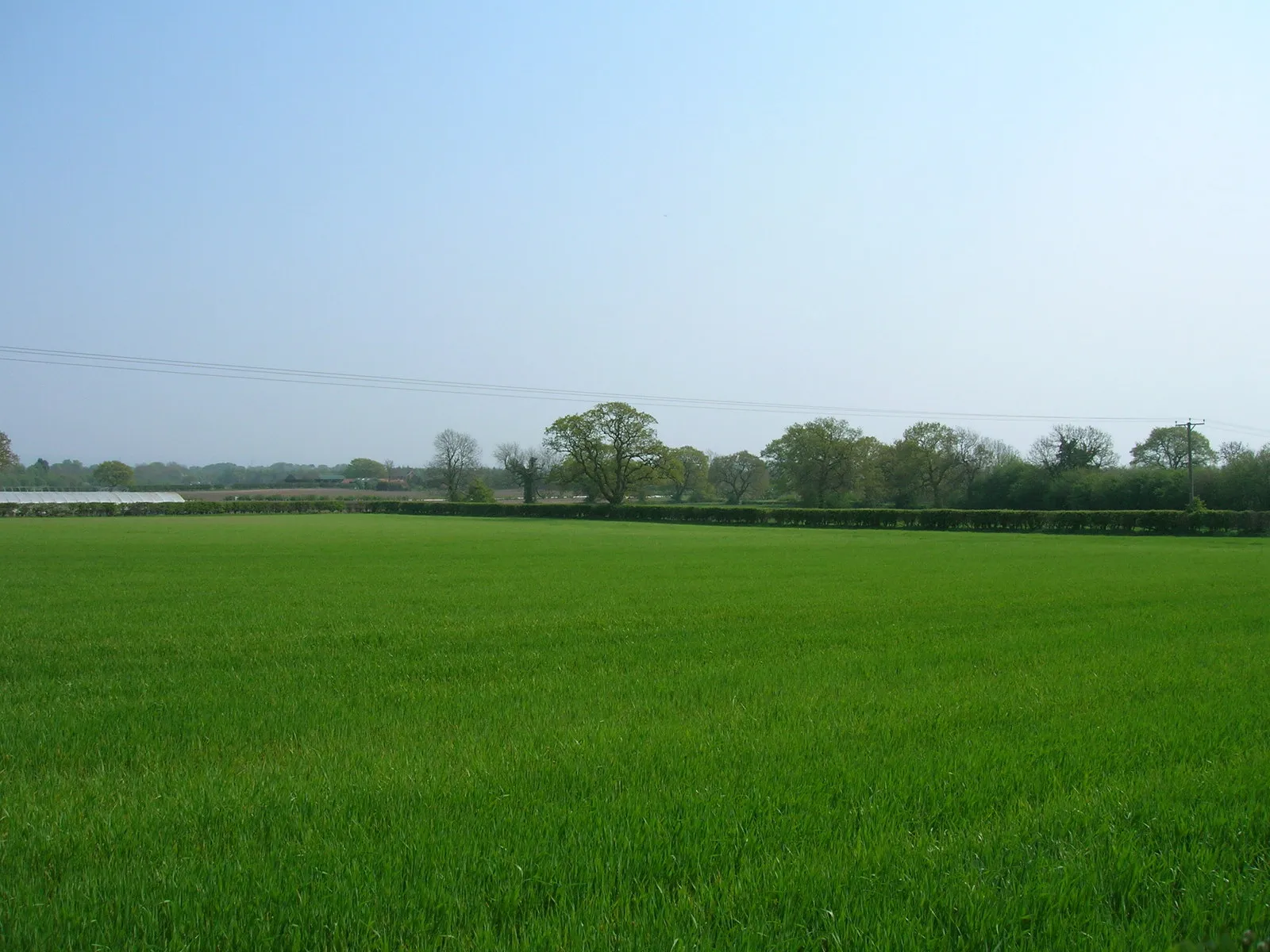 Photo showing: Farmland, Helmsley Common