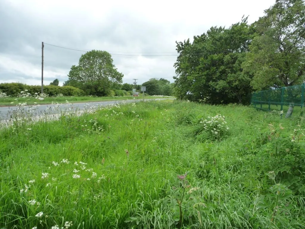 Photo showing: Wide grass verge near Garrowby Reservoirs