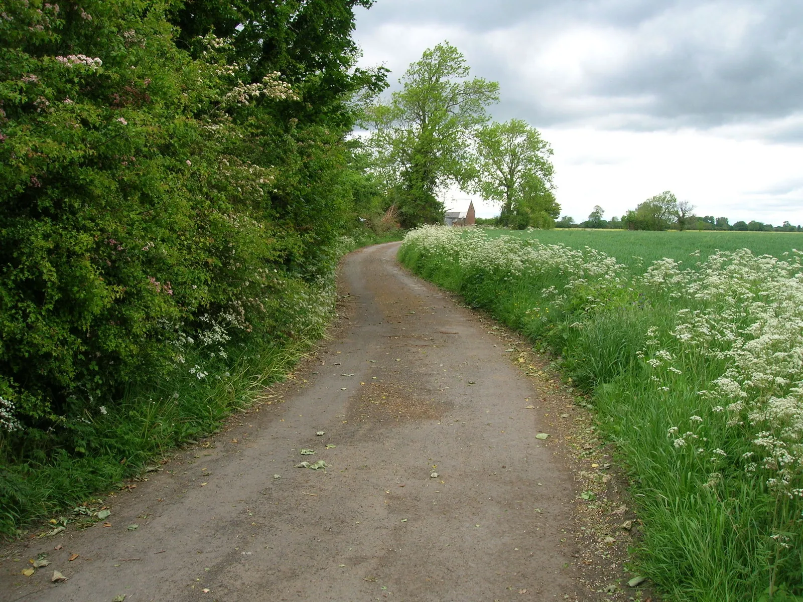 Photo showing: Pickrowfield Lane, Little fenton