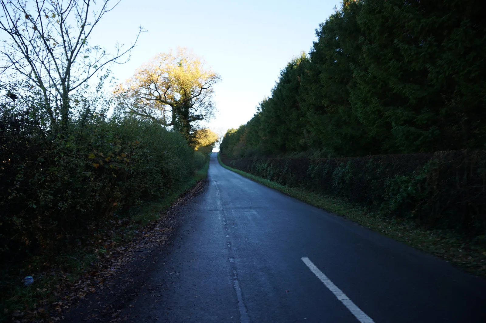 Photo showing: Barf Lane towards Bugthorpe