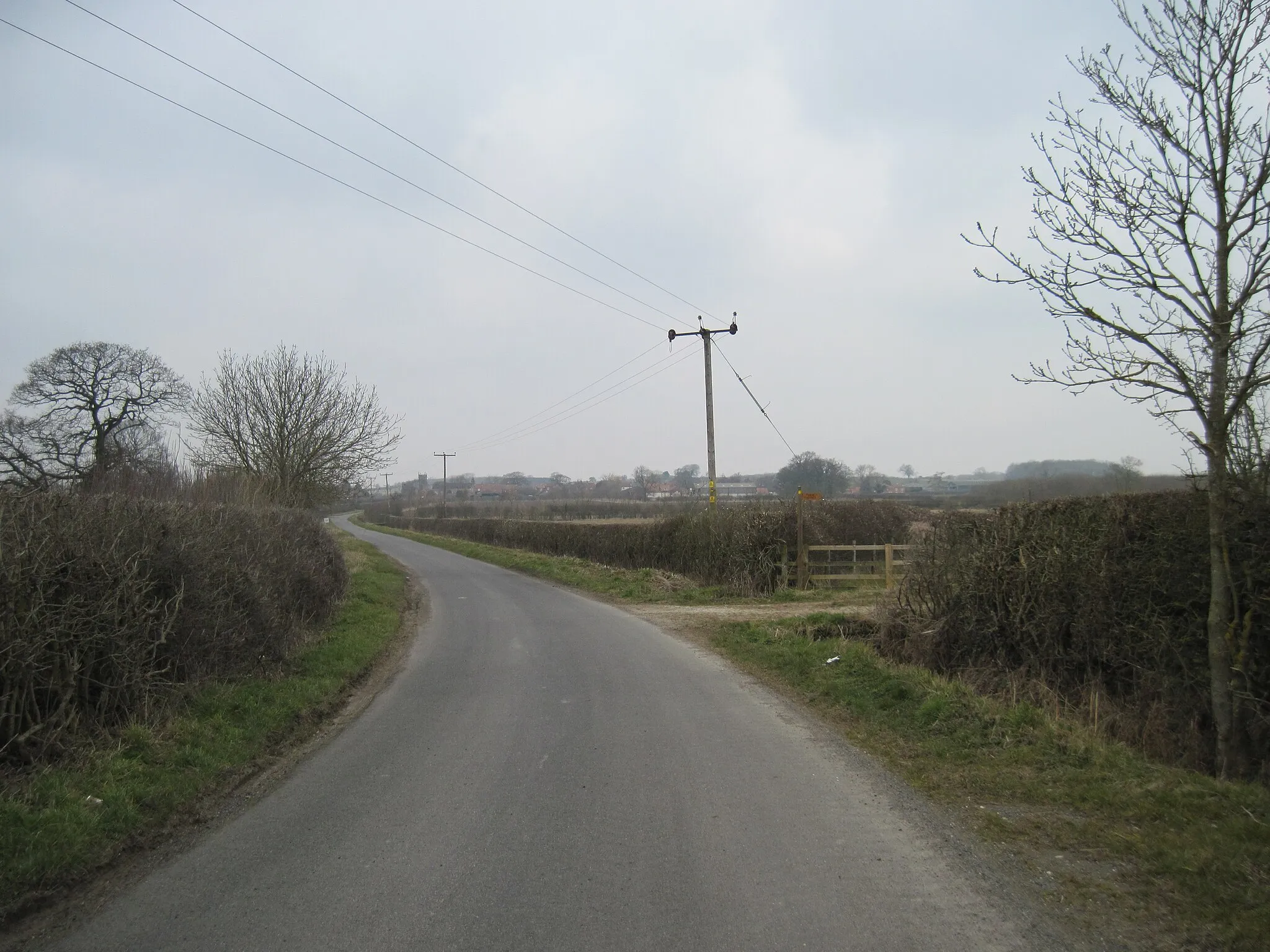 Photo showing: Barf  Lane  toward  Bugthorpe