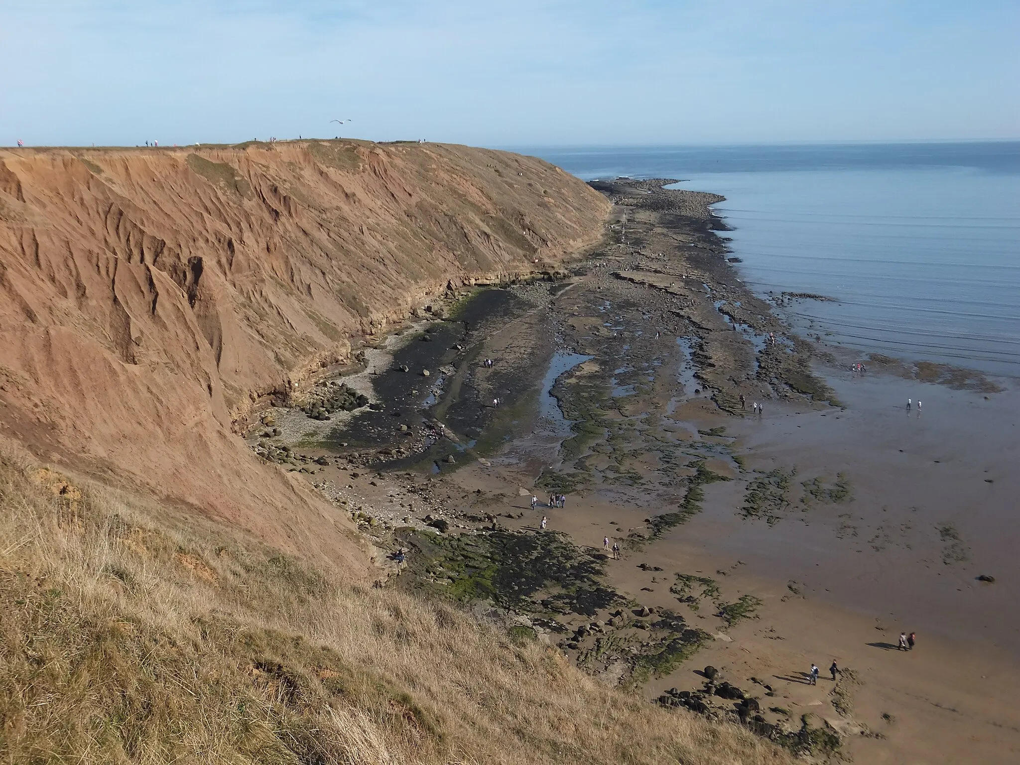 Photo showing: Taken on 11th March 2012 on Filey Brigg, North Yorkshire.