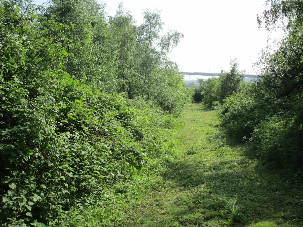 Photo showing: Abandoned track