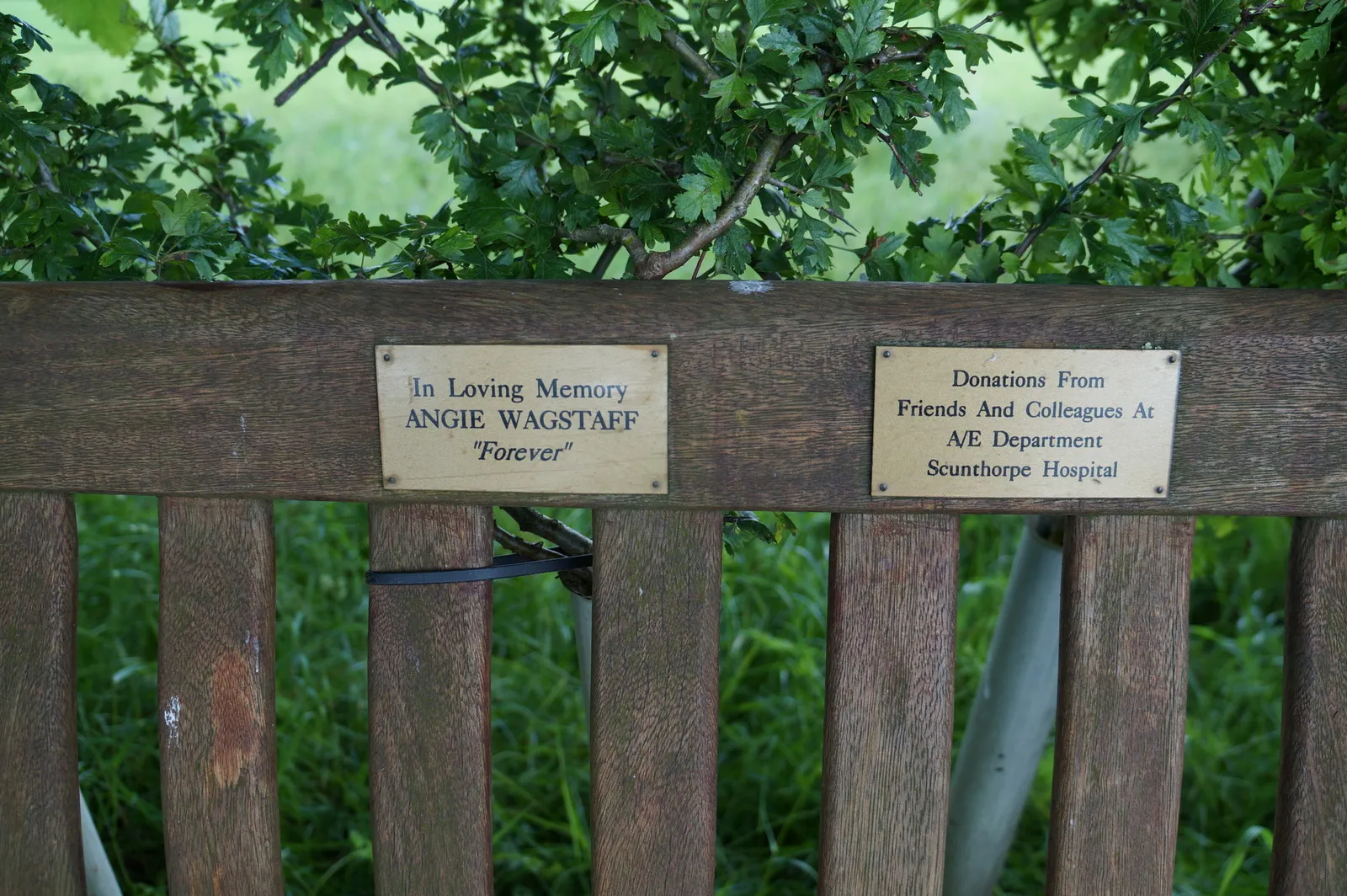Photo showing: A bench to the memory of Angie Wagstaff