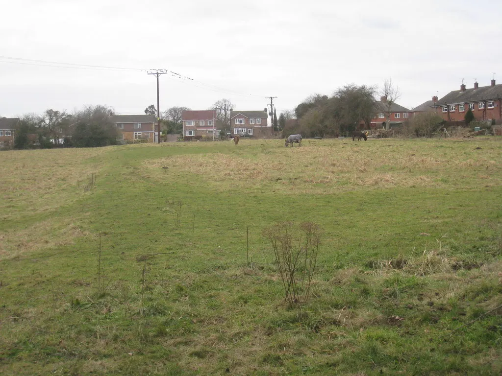 Photo showing: Donkeys at Sturton