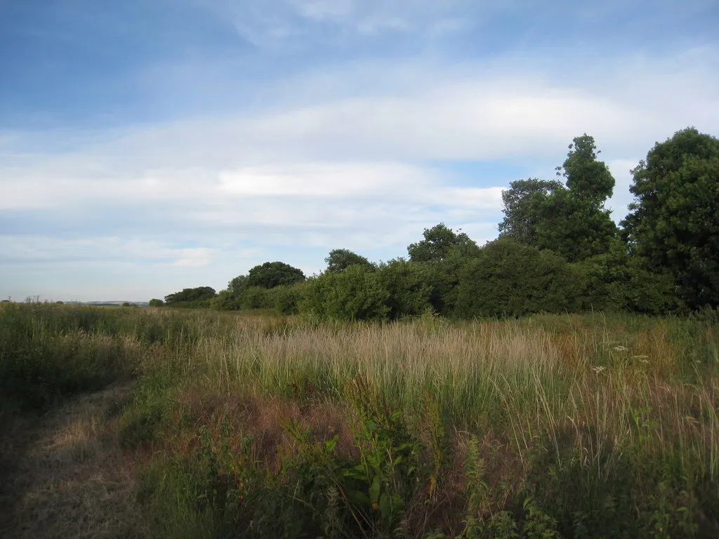 Photo showing: America Plantation