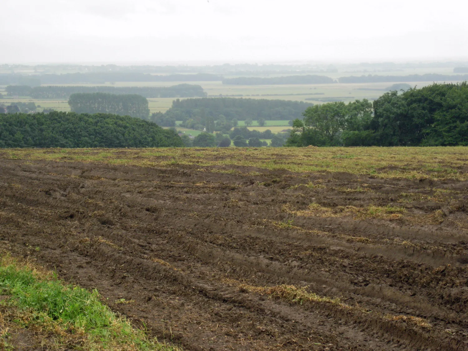 Photo showing: After the Pea Harvest