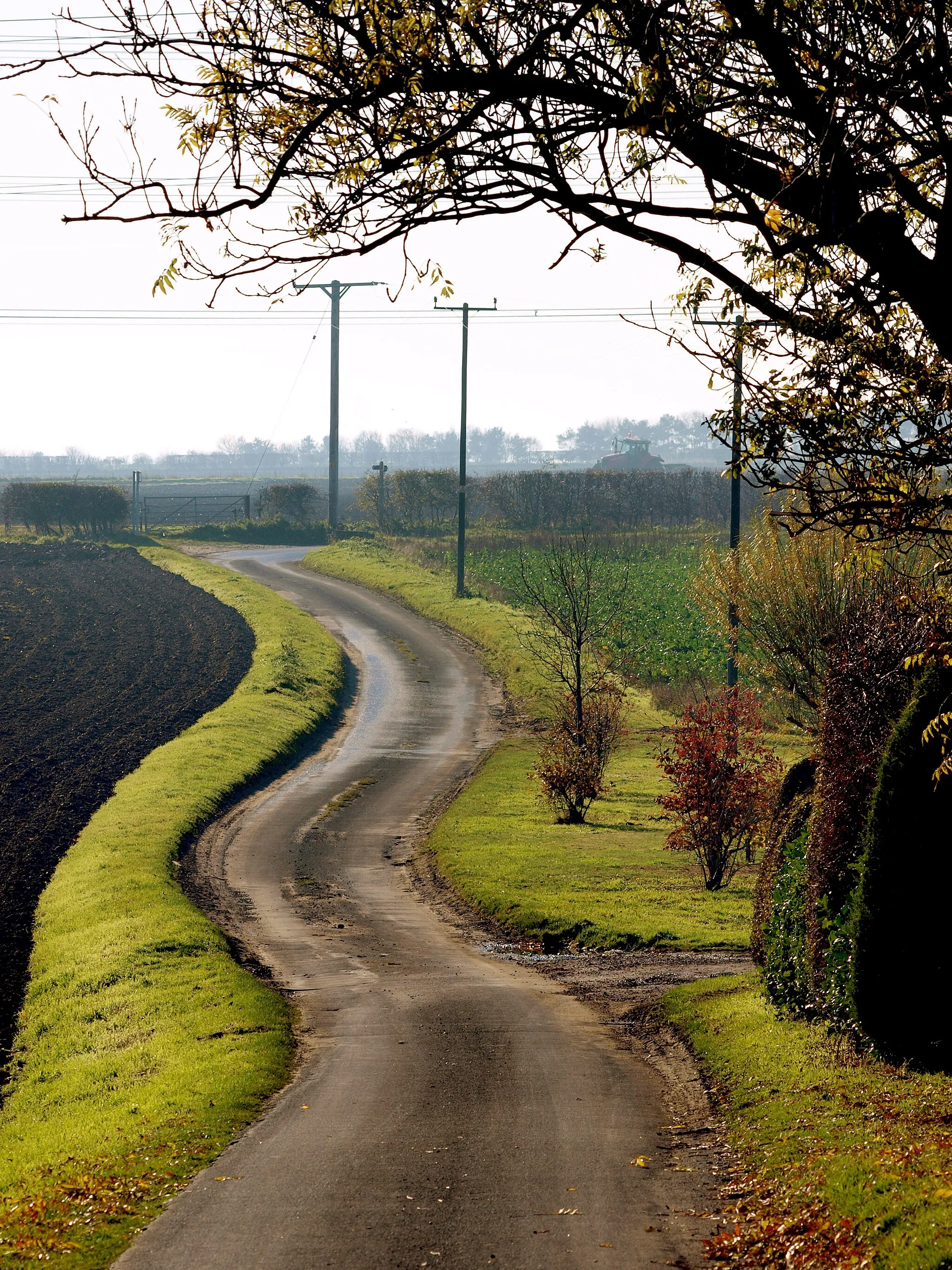 Photo showing: A Minor Lincolnshire Wolds' Road
