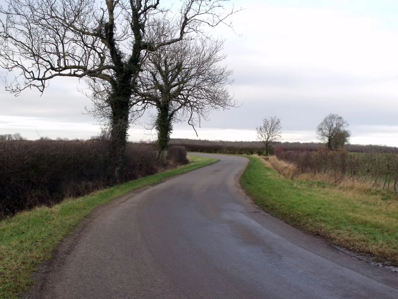 Photo showing: Bend in road near White House Farm