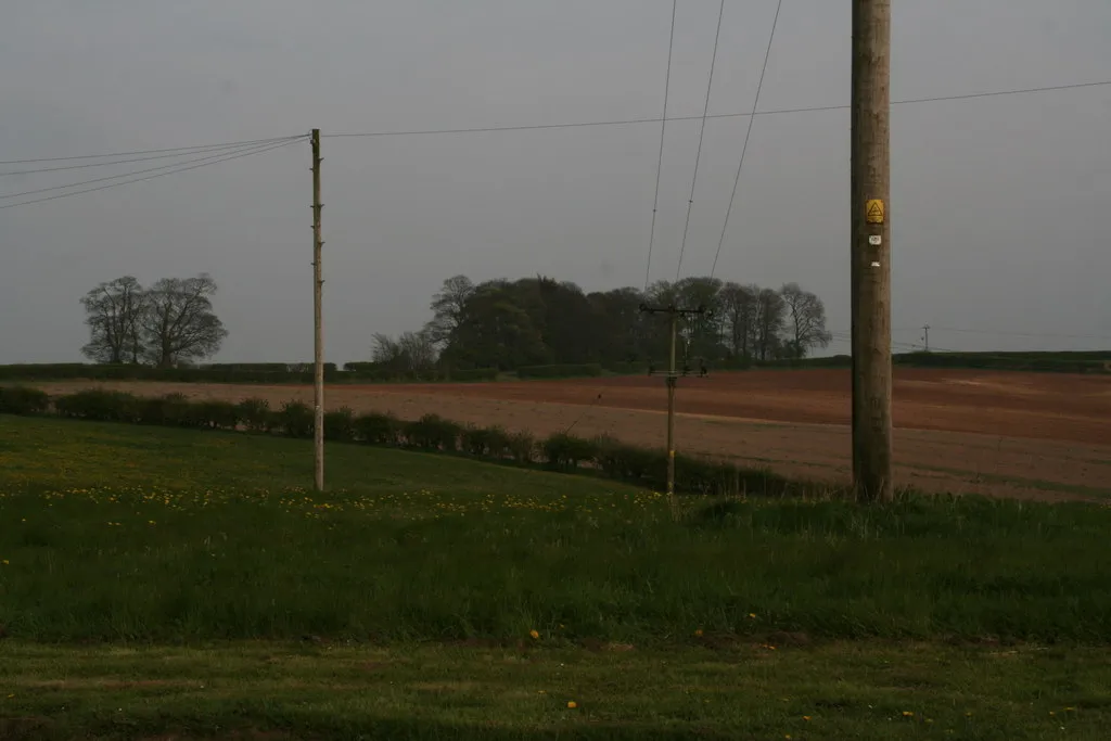 Photo showing: A study in straight lines: view SW from South Walk Farm