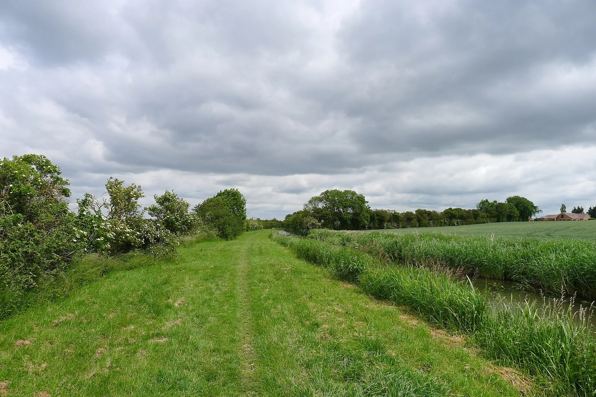 Photo showing: A broad towpath on the Chesterfield Canal