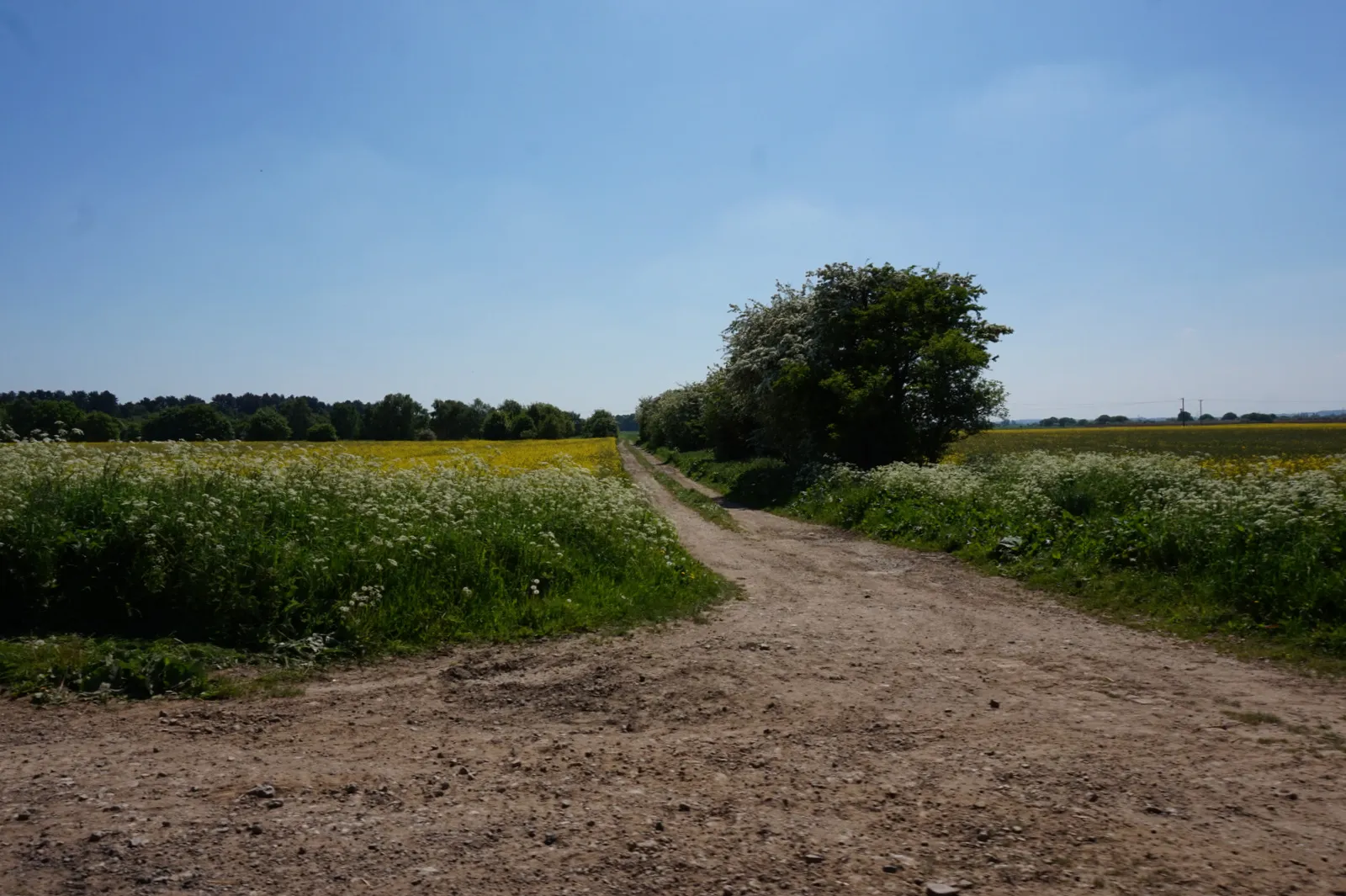 Photo showing: Farm Track off Carr Lane