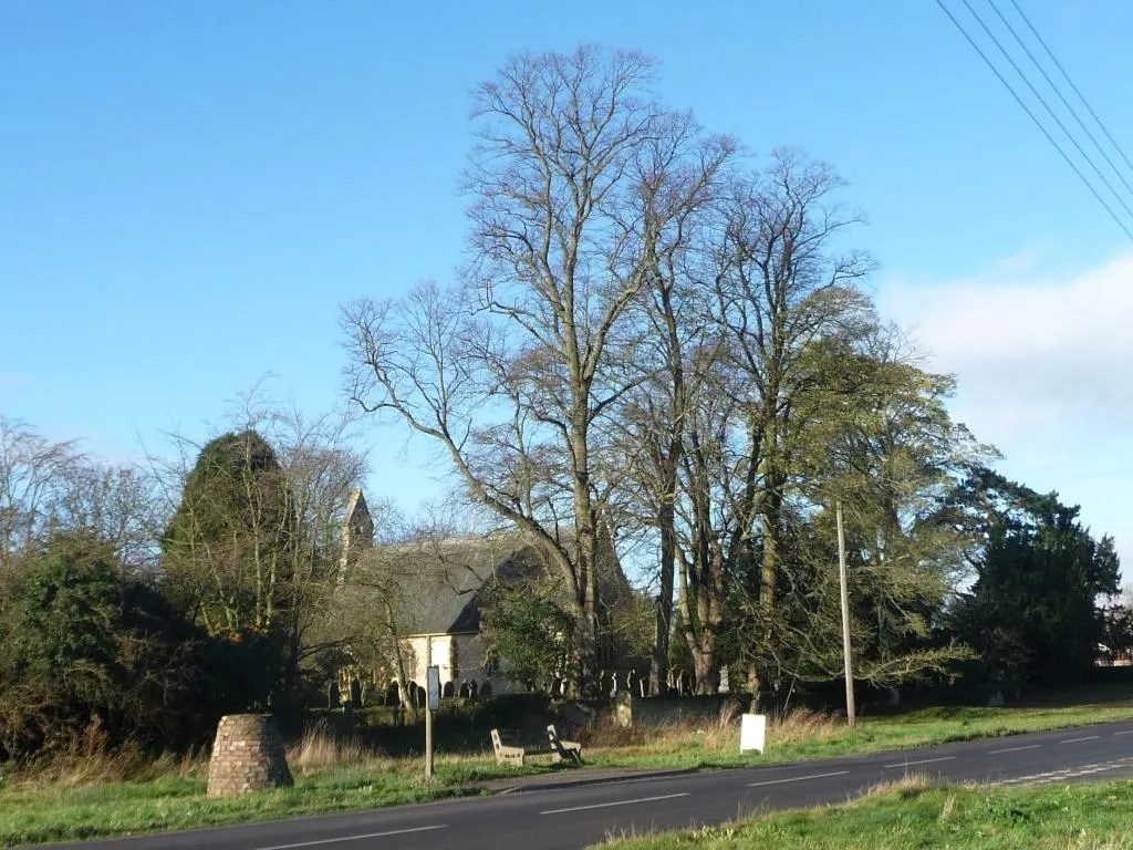 Photo showing: Churchyard trees, Flaxton