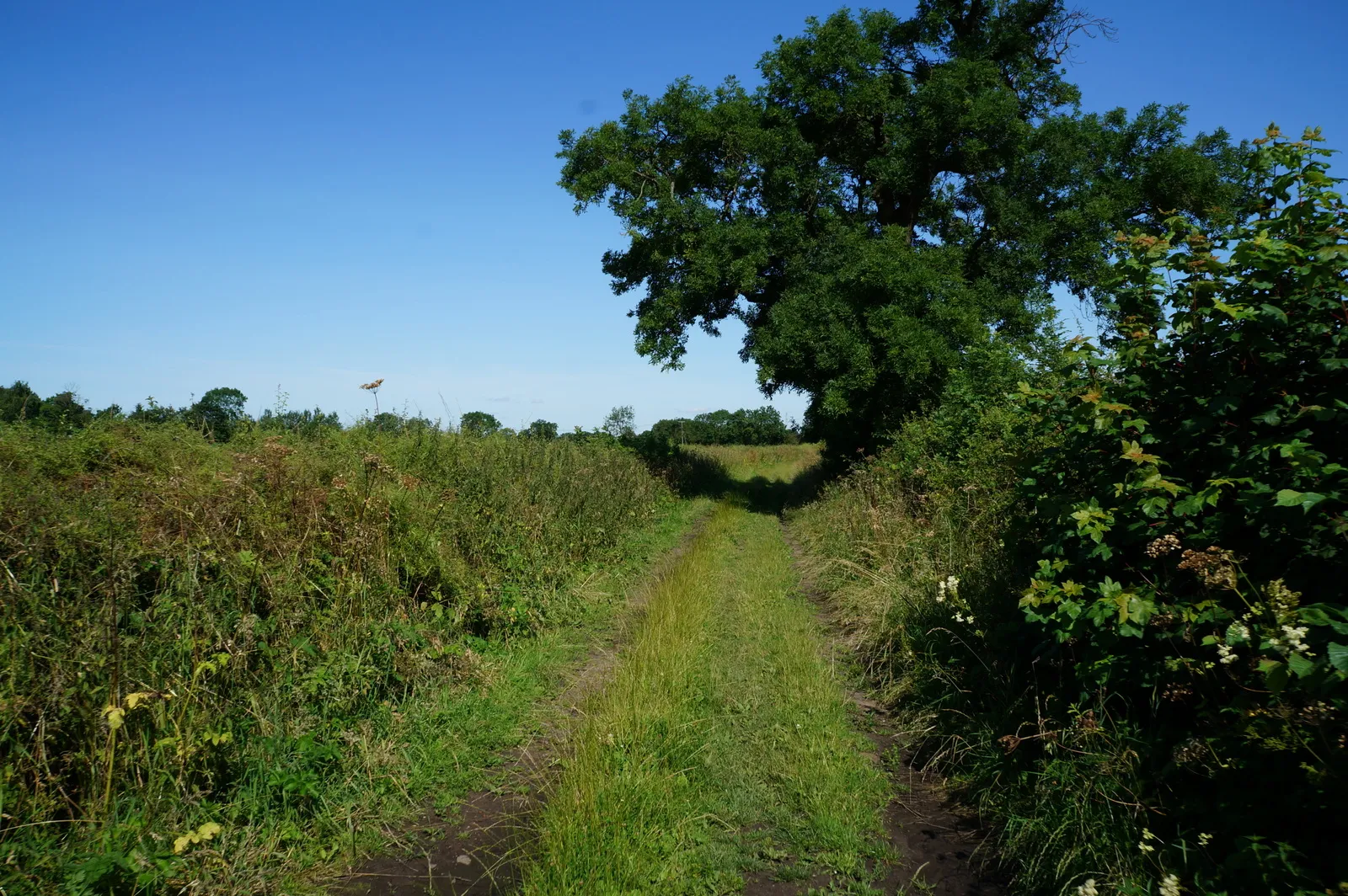 Photo showing: Brockfield Lane towards Stockton on the Forest