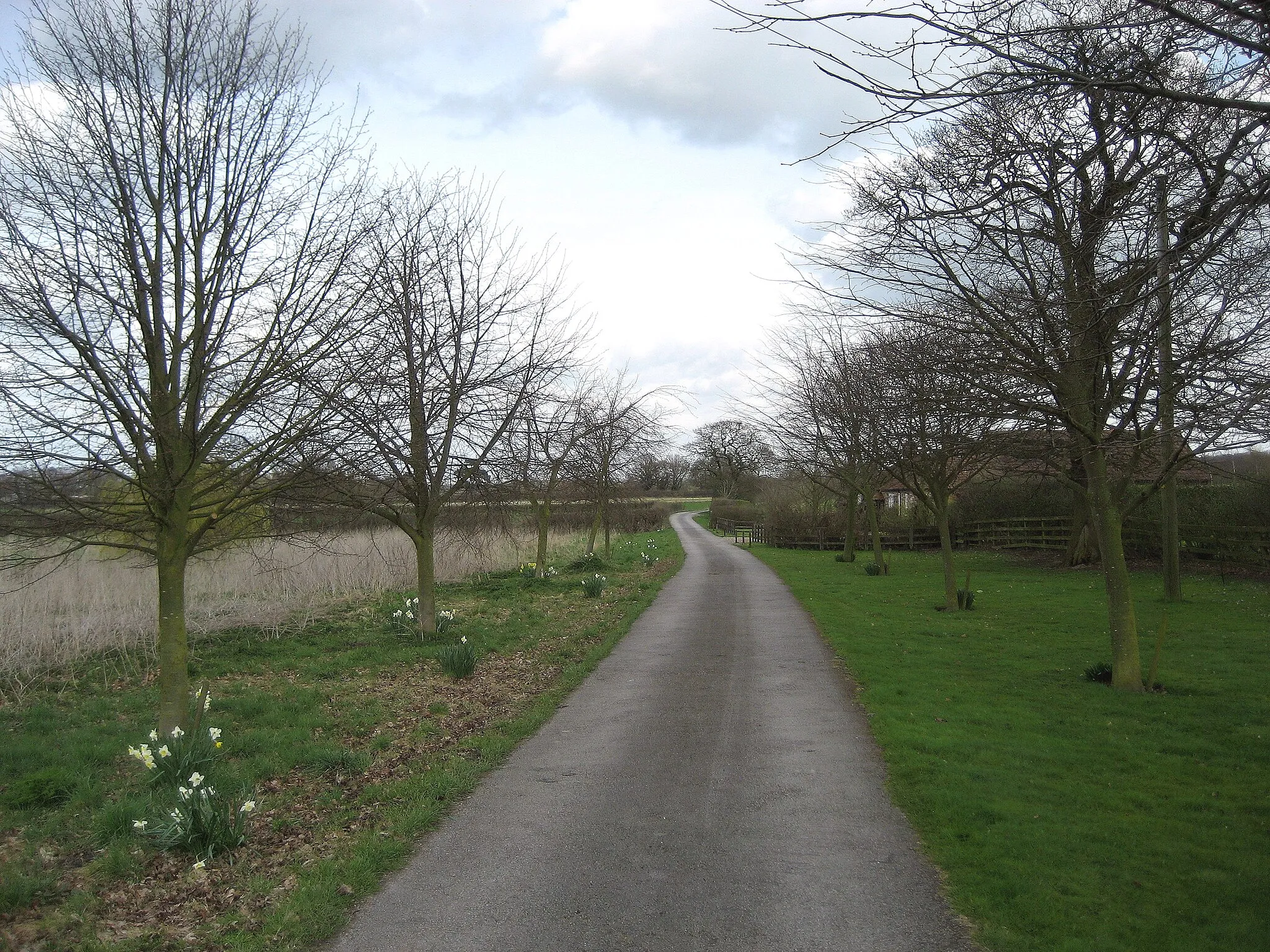 Photo showing: Access Lane leading from Carlton Farm Access from the farm to Common Lane, to the north of Warthill.