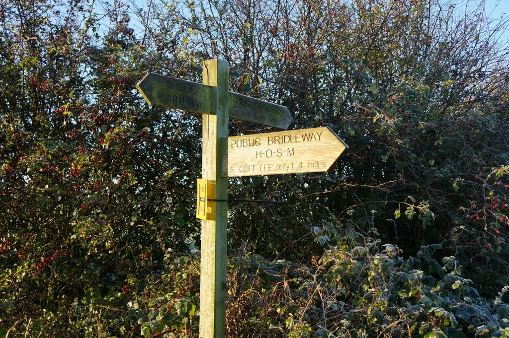 Photo showing: A bridleway to Holme on Spalding Moor
