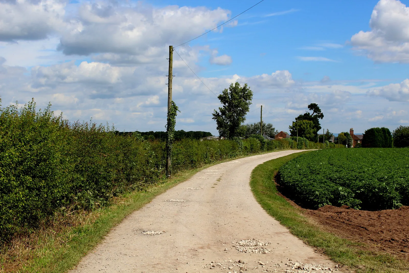 Photo showing: Access Lane to Marston Grange