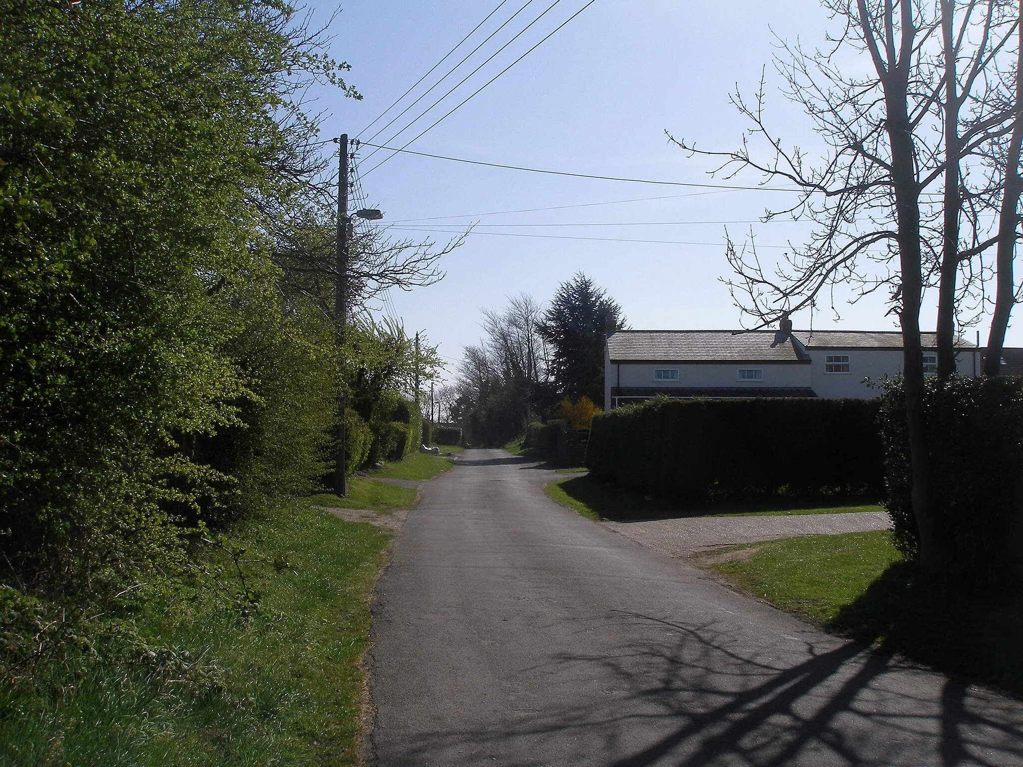 Photo showing: Elm Lane, North End
