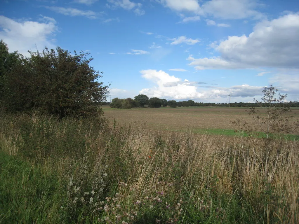 Photo showing: Fields at Pell Intax