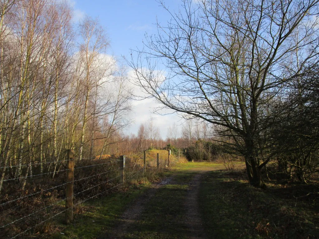 Photo showing: Approaching the bend in the footpath to Blaxton