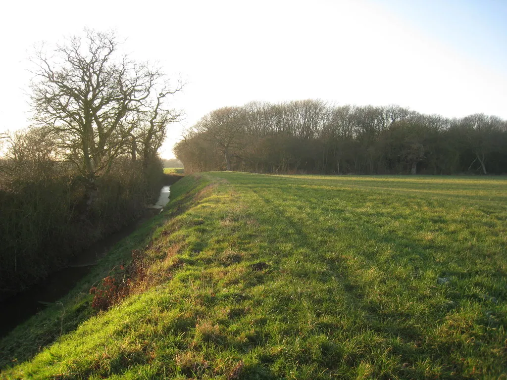 Photo showing: Blackshaw Dike and Tideworth Hague Gorse