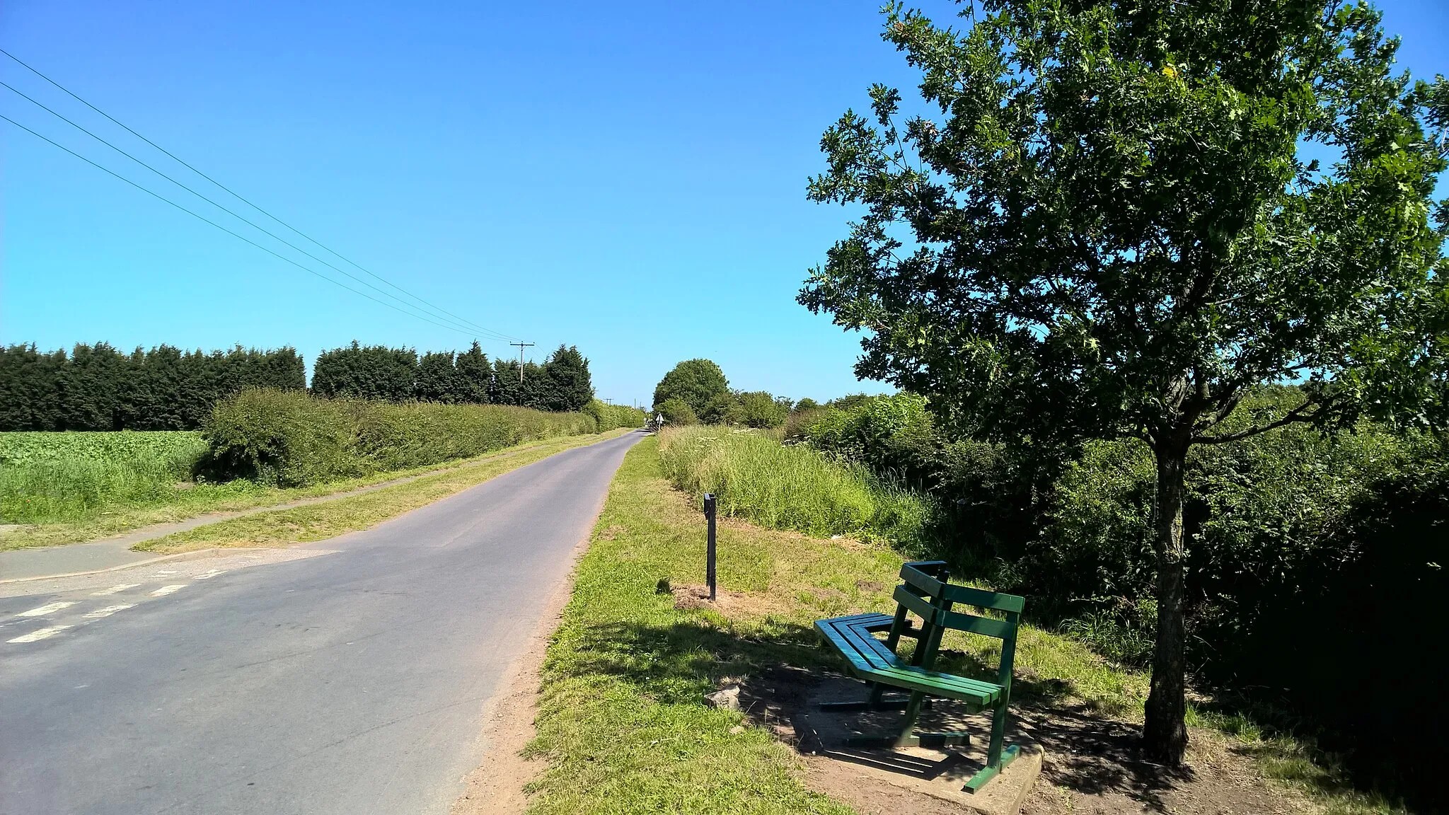 Photo showing: Bench on Field Lane