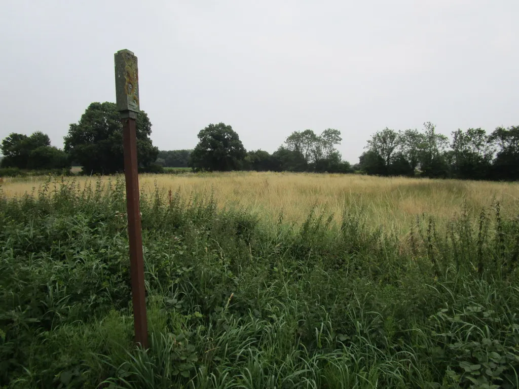 Photo showing: Another impassable footpath