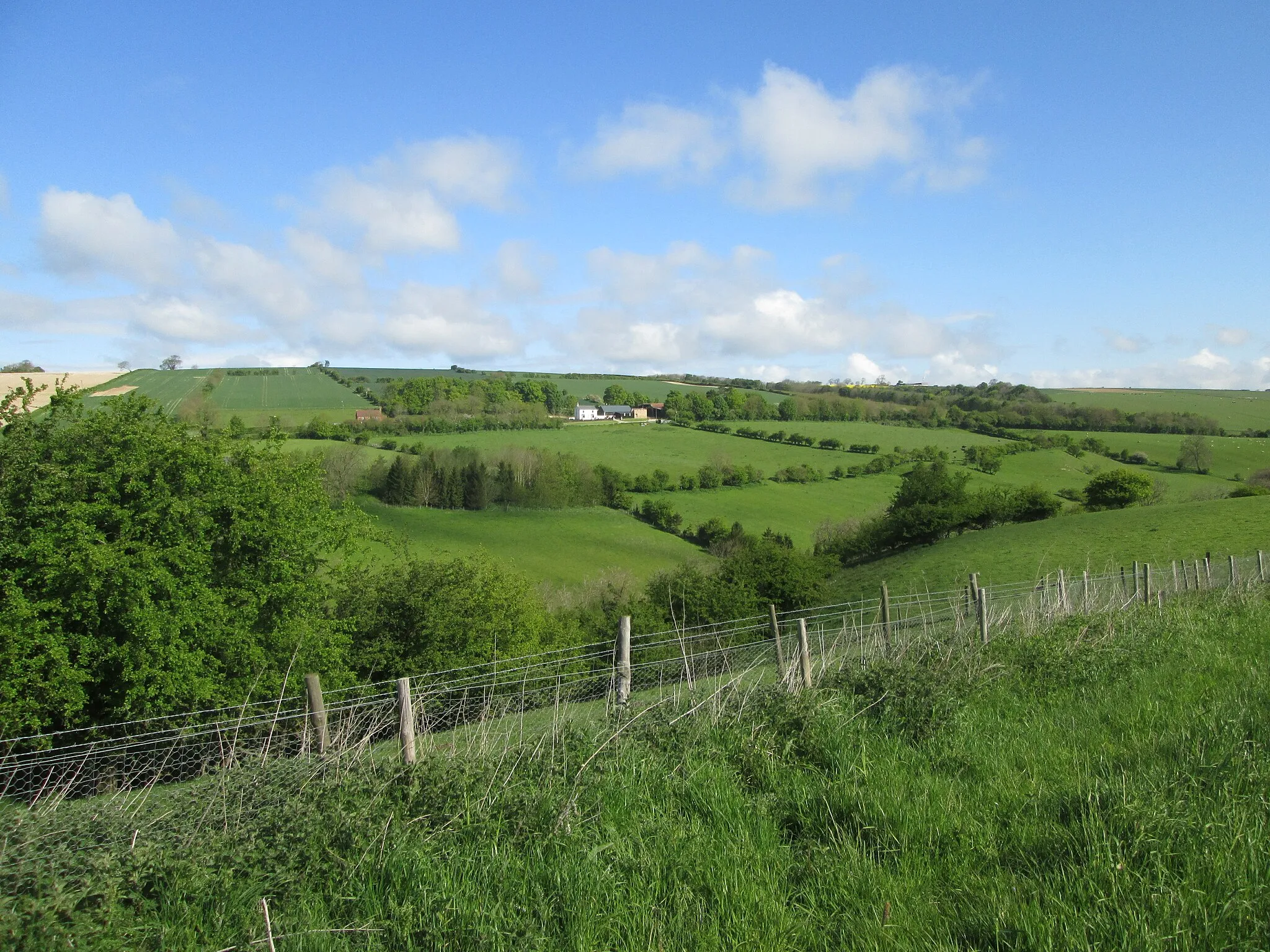 Photo showing: Across  Millington  Bottom  to  Woodgate  Farm