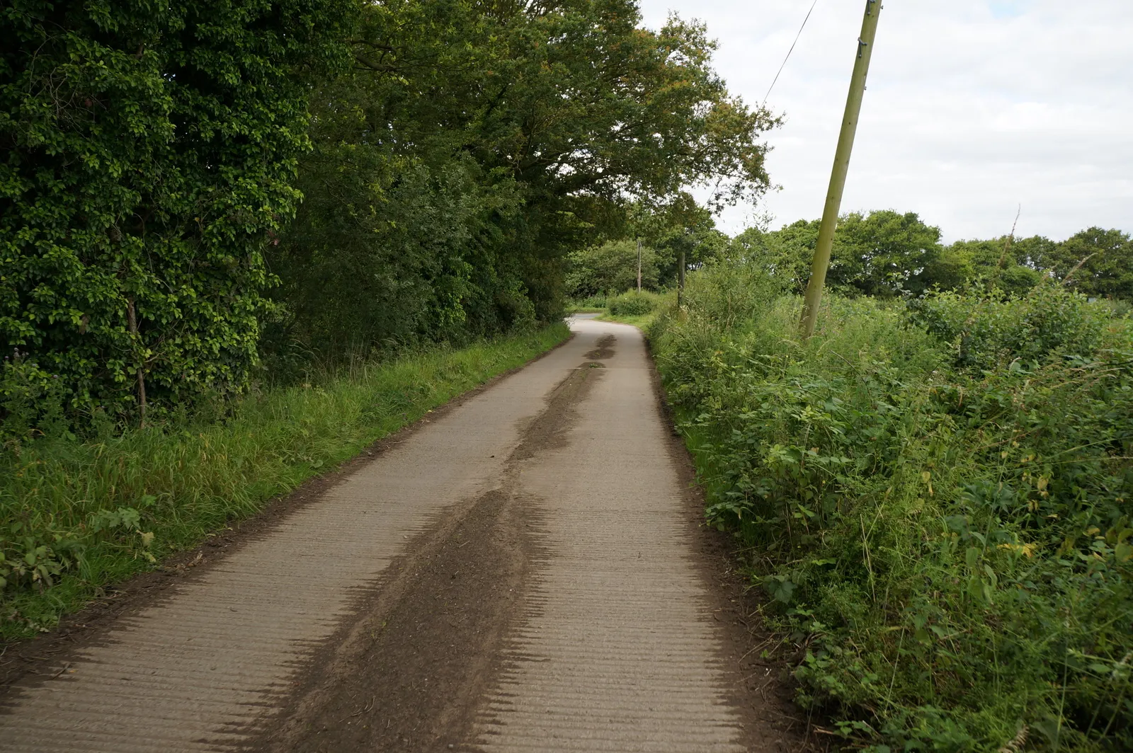 Photo showing: Bridleway towards Elvington Lane