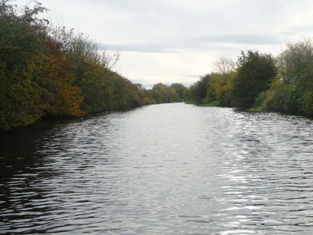 Photo showing: Autumn colours on the Selby Canal
