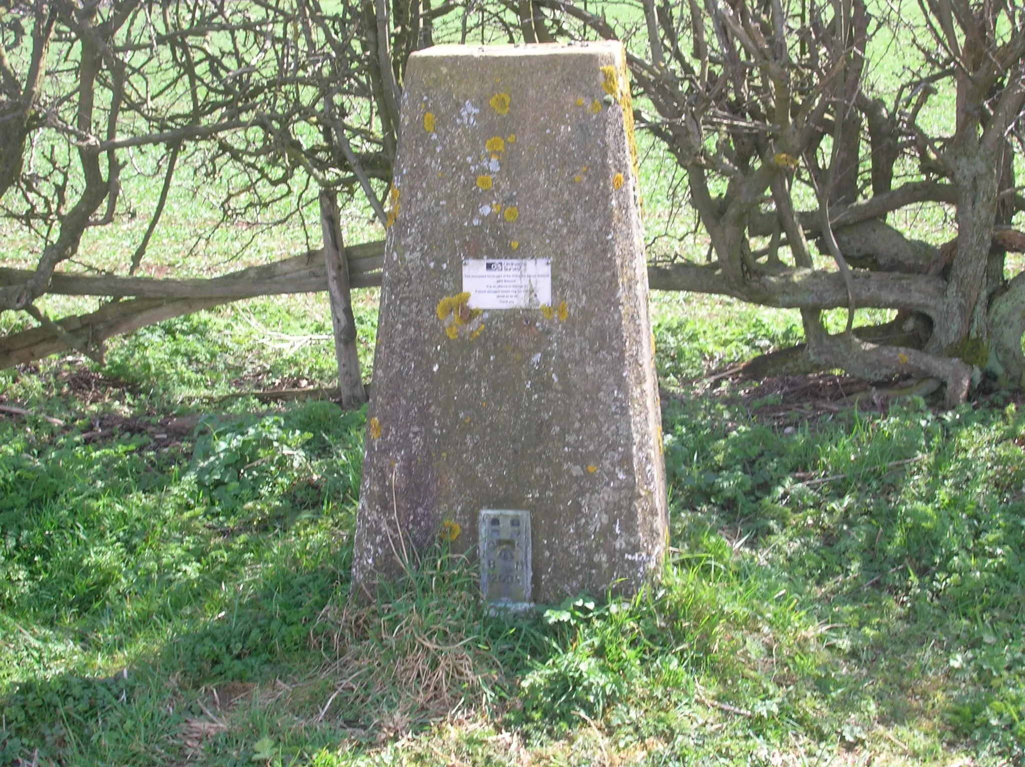 Photo showing: Trig Point TF121964