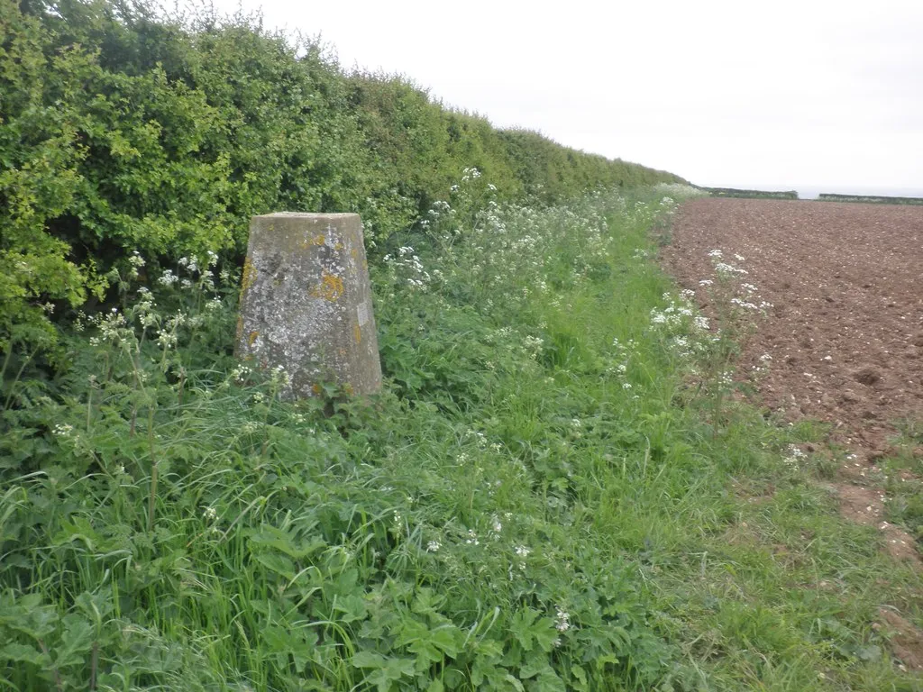 Photo showing: Trig point at Normanby Top